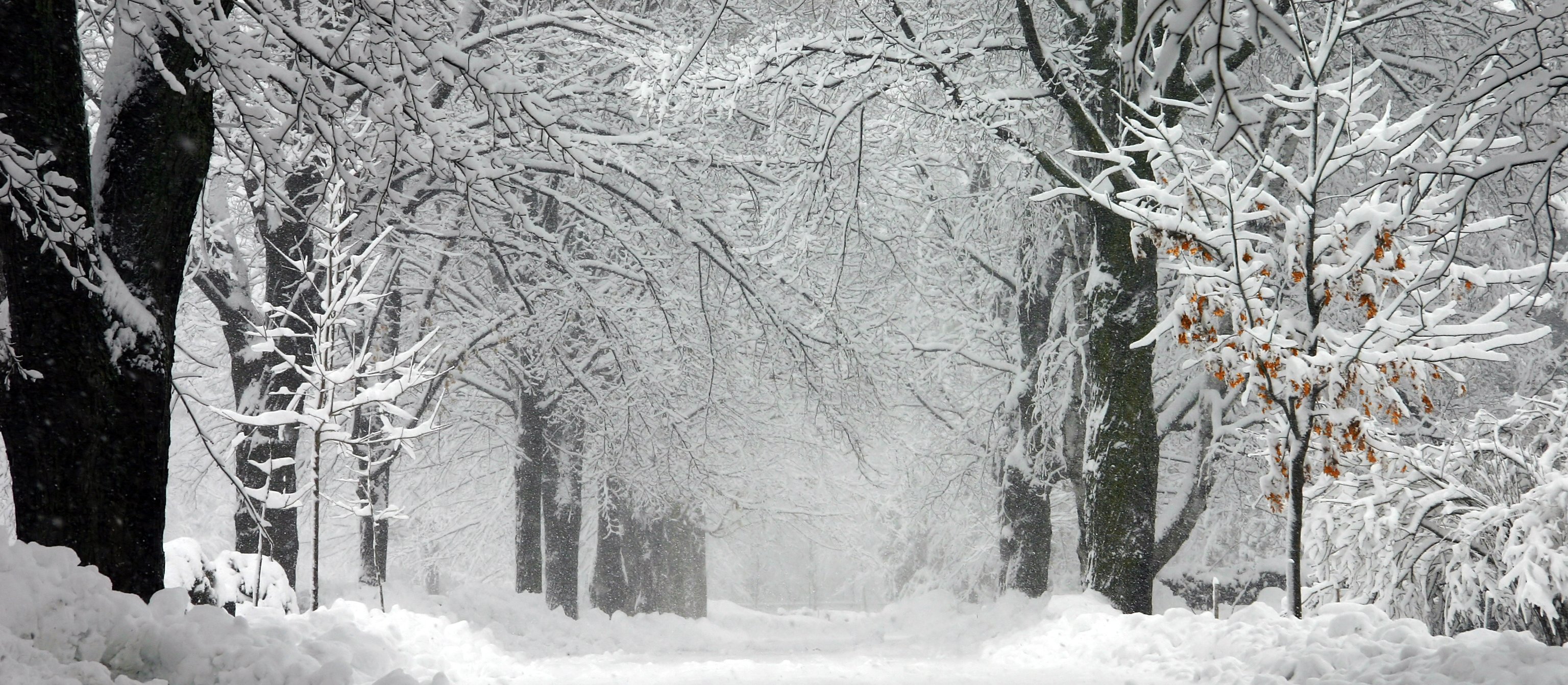 Zima nie odpuszcza, ale idzie zmiana w pogodzie. Gdzie opady śniegu będą największe?