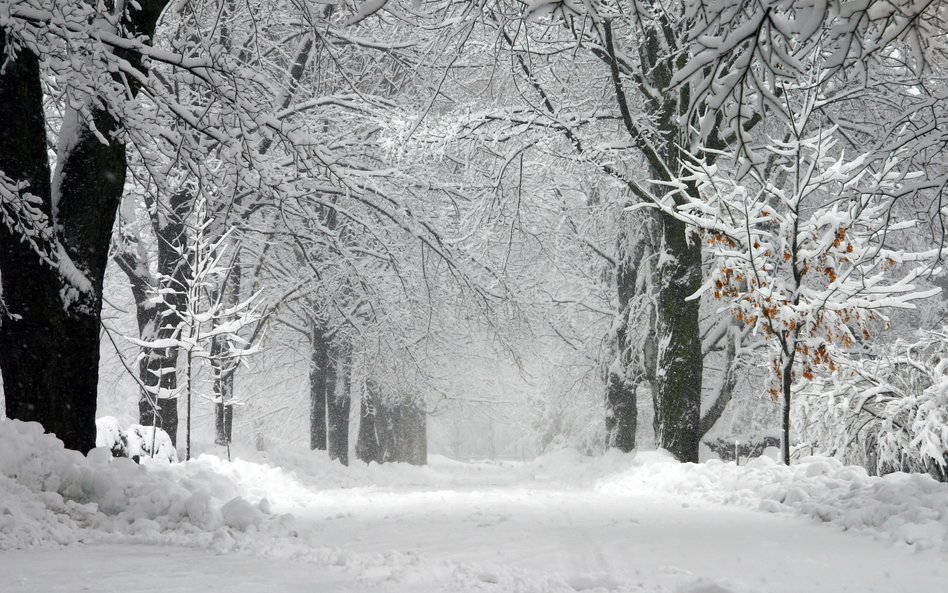 W najnowszej prognozie pogody IMGW pojawiają się ponownie opady śniegu