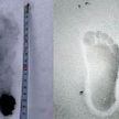 Japończycy na tropie Yeti