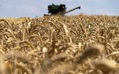 Większość ziemi uprawnej w Ukrainie należy do przedsiębiorstw, a wśród nich znaczącą część stanowią 