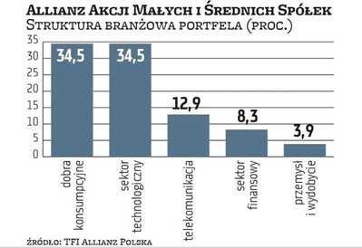 W sierpniu poprzedniego roku Allianz Akcji Małych i Średnich Spółek składał się w 32,5 proc. z akcji