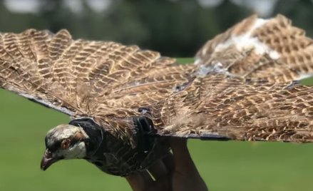 Ostatnim ulepszeniem ma być dodanie nóg, aby dron mógł siadać i monitorować określony obiekt bez zuż