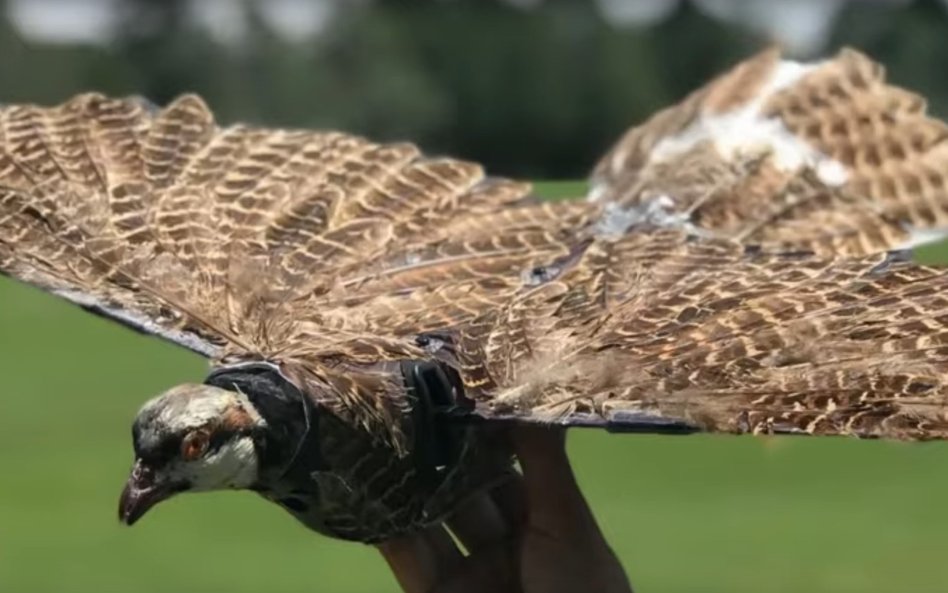 Ostatnim ulepszeniem ma być dodanie nóg, aby dron mógł siadać i monitorować określony obiekt bez zuż