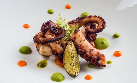 "307 tys. zł na ośmiornicę z grilla". Senat odpowiada