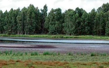 Nawadnianie torfowisk, jak tego w Słowińskim Parku Narodowym, podnosi poziom wód gruntowych