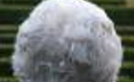 Synowej nie opłaca się opiekować teściową