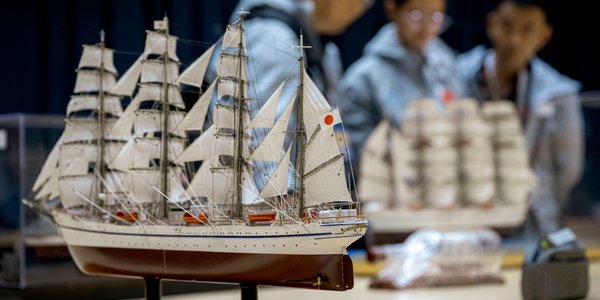 Collectible scale models can fetch millions, but remain a high-risk investment