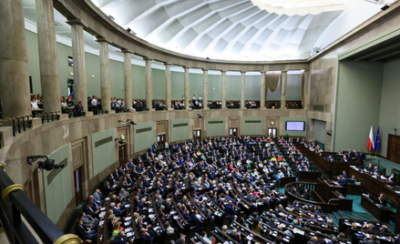 Sejm przyjął tzw. "ustawę Kamilka"