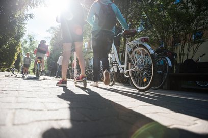 Według wstępnych szacunków w kampanii Rowerowy Maj może wziąć udział niemal 190 tysięcy osób