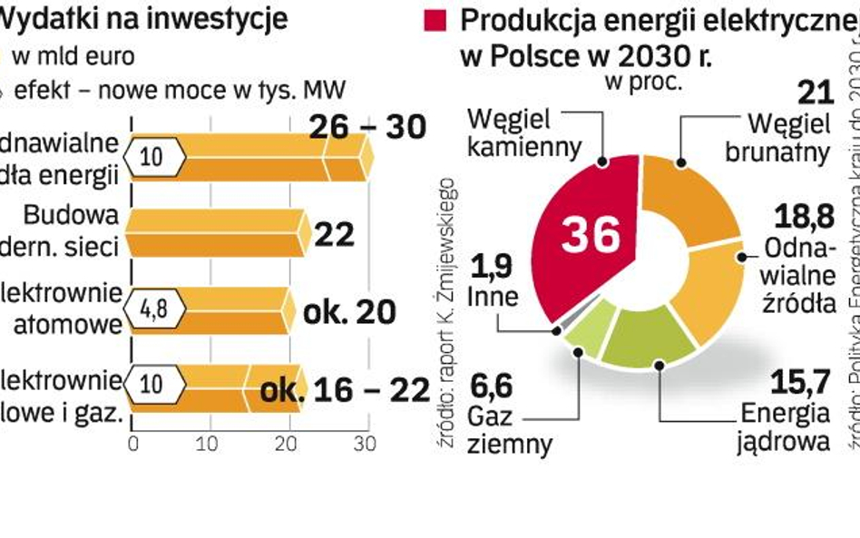 Inwestycje w elektrownie atomowe są bardzo kosztowne, choć produkcja prądu jest w nich tania. W Pols