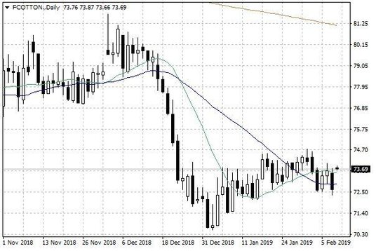 Notowania bawełny w USA – dane dzienne