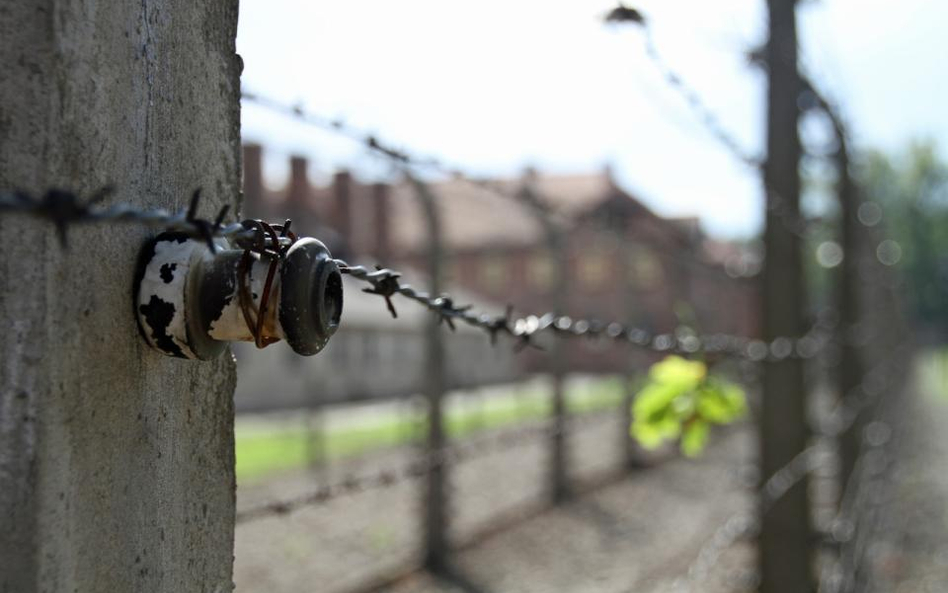 Turyści przed sądem za okradanie Auschwitz