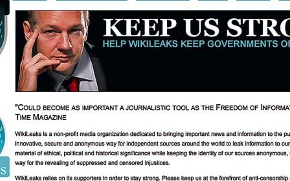 Jest wątpliwe, czy internetowe media, blogerzy i dziennikarze społeczni publikujący w sieci, są w st