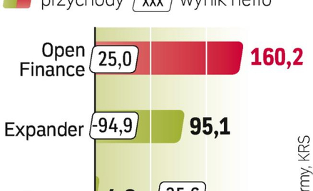 Większość firm nie podaje na bieżąco swoich wyników. Ostatnie porównywalne dane dotyczą 2008 r.