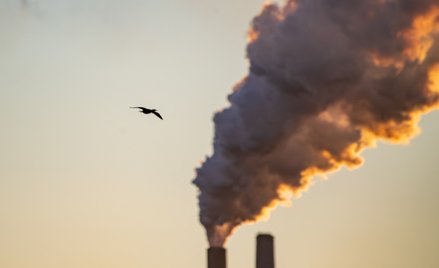 Tempo wzrostu emisji dwutlenku węgla na świecie wzrosło trzykrotnie od lat 60. ubiegłego wieku.