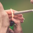 Miliardy na marihuanę. Polacy nie chcą czekać na legalizację