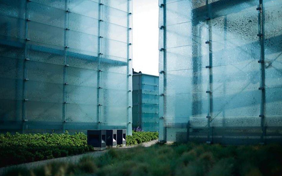 Szklane bryły doświetlające wnętrze Muzeum Śląskiego. Fot. Witalis Szołtys