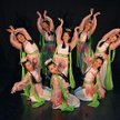Grupa Lan Yang Dancers występowała już w Europie, Azji, Ameryce Północnej i Środkowej. W Polsce gośc