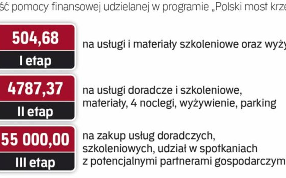 Wsparcie udzielane przez PARP w Polskim Moście Krzemowym ma charakter pomocy de minimis
