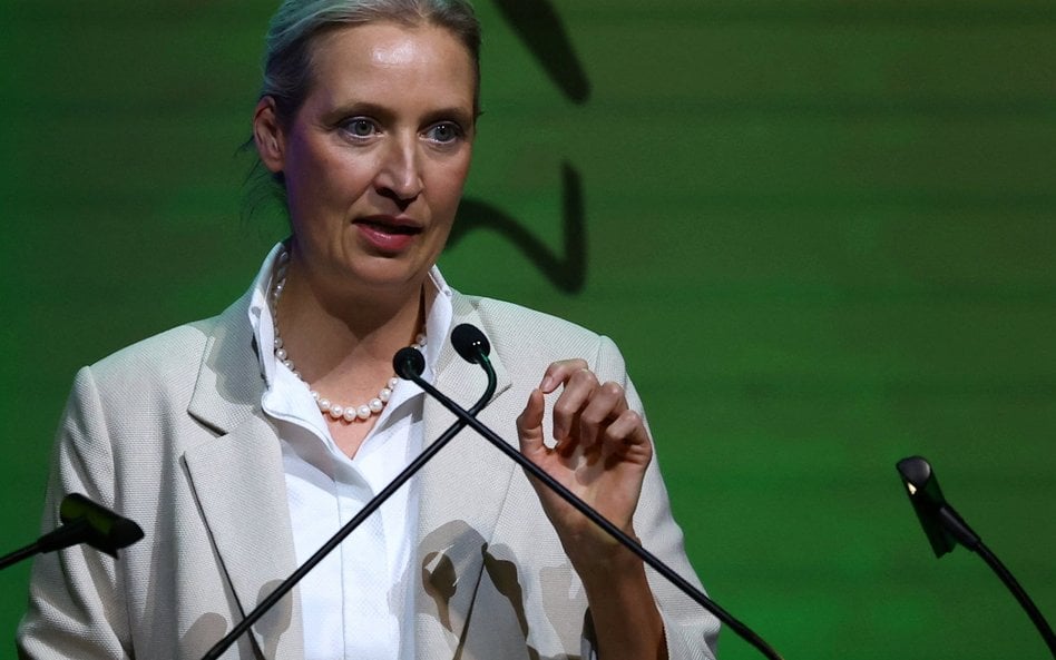Alice Weidel. Współprzewodniczącą AfD wraz z delegacją zaprosiła do Waszyngtonu kongresmenka Republi