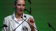 Alice Weidel. Współprzewodniczącą AfD wraz z delegacją zaprosiła do Waszyngtonu kongresmenka Republi
