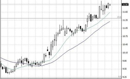 Notowania ryżu – dane dzienne.
