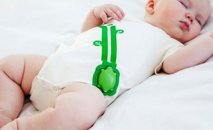 W żółwiu ukryte są czujniki przesyłające dane do smartfona