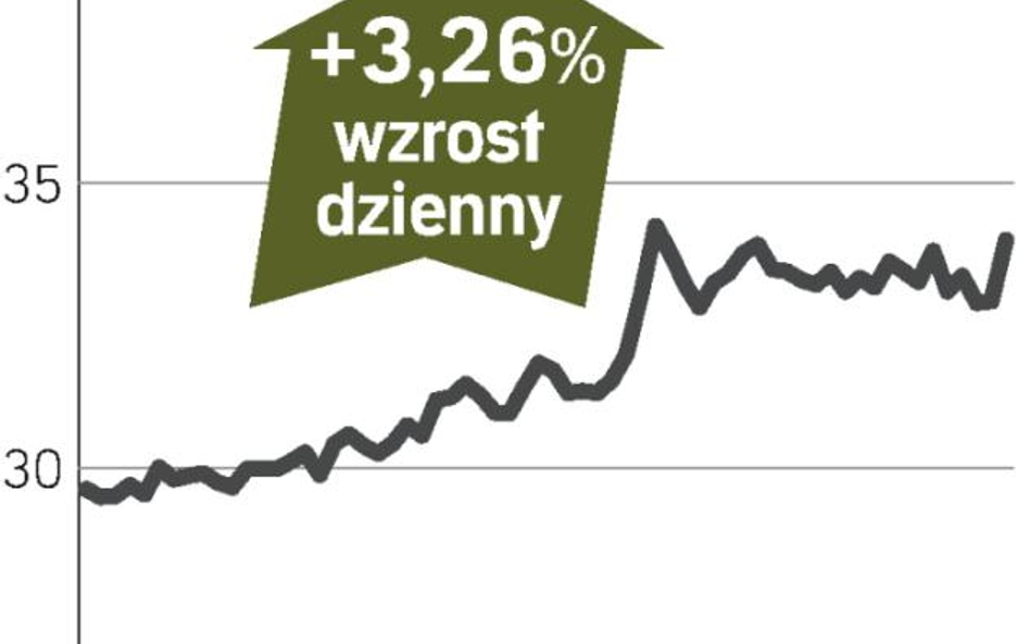 Holendrzy umacniają się w Meksyku