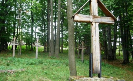 Szukając landszturmisty Marca