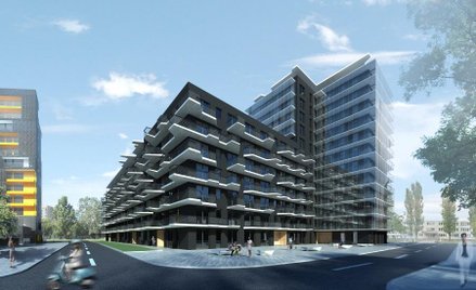 Deweloperskie projekty Black Lion