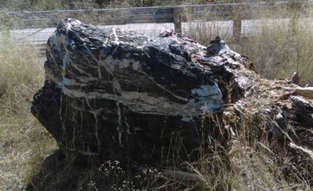 USA: Z rezerwatu zniknął ważący tonę głaz. Nikt nie wie jak