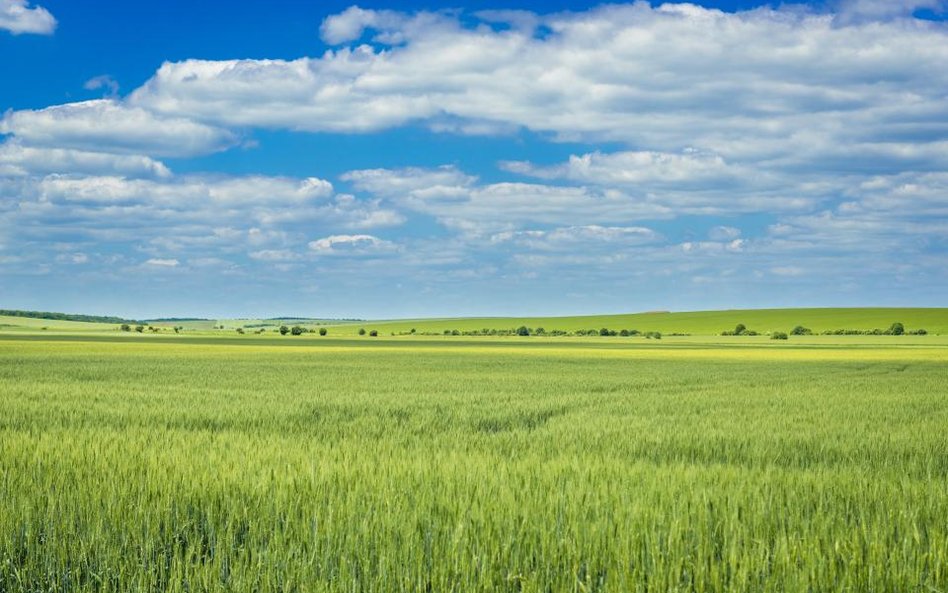 Ukraina: Gigantyczna ziemia niczyja