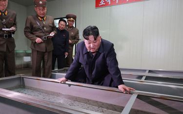 Korea Północna stawia warunek USA: Nie chce Pompeo