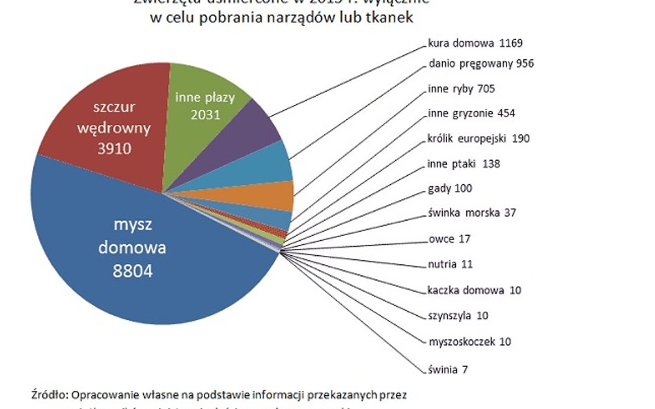Nowe przepisy zniosły obowiązek uzyskania od lokalnych komisji etycznych zgody na uśmiercanie zwierz