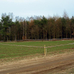 Ceny wywoławcze ziemi w górę