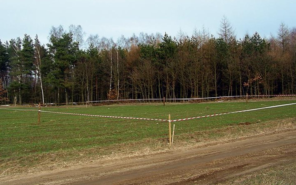 Działki nad zatoką nie tracą na wartości