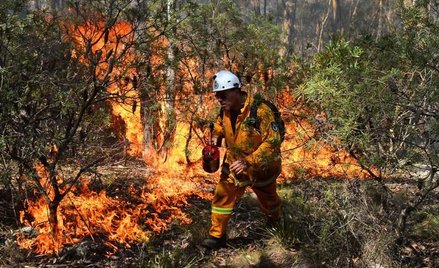 Australia wciąż walczy z pożarami