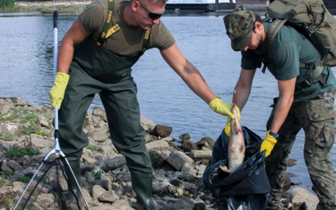 Żołnierze i strażacy usuwają martwe ryby z Odry w okolicy Słubic