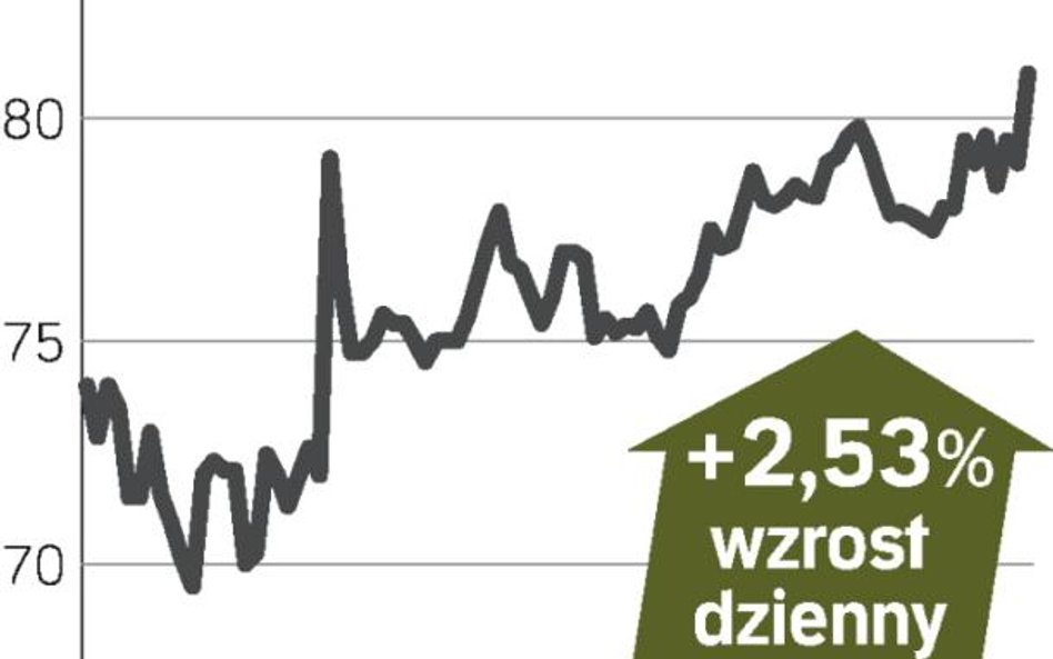 Korzystne rekomendacje wsparły kurs Bogdanki