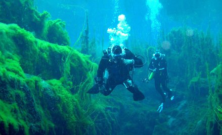 Jak smakuje wino leżakowane na dnie morza? „Wielka różnica”