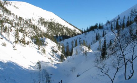 By Trainthh (Self-published work by Trainthh) [GFDL (http://www.gnu.org/copyleft/fdl.html), CC-BY-SA