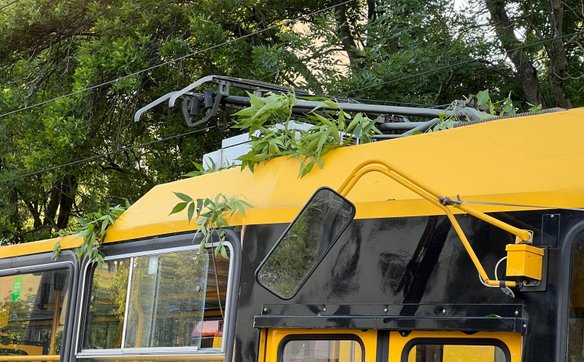 Uszkodzeniu uległ dach tramwaju linii nr 4 i sieć trakcyjna