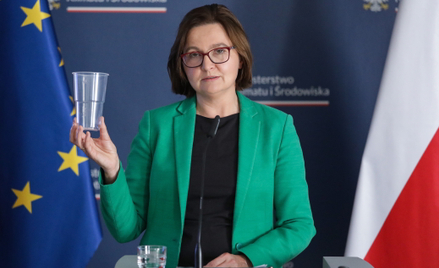 Anita Sowińska, wiceminister klimatu i środowiska
