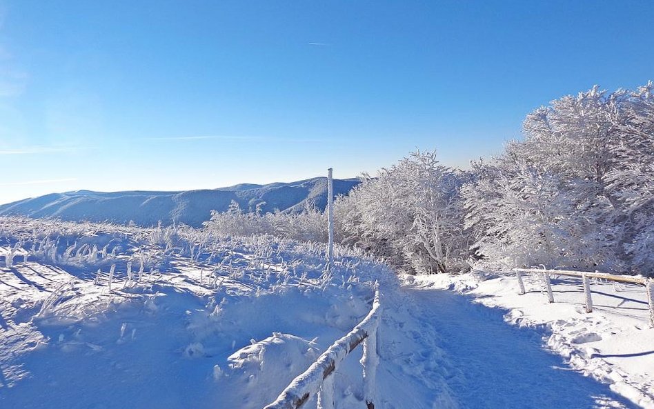 Bieszczady - drugi stopień zagrożenia lawinowego