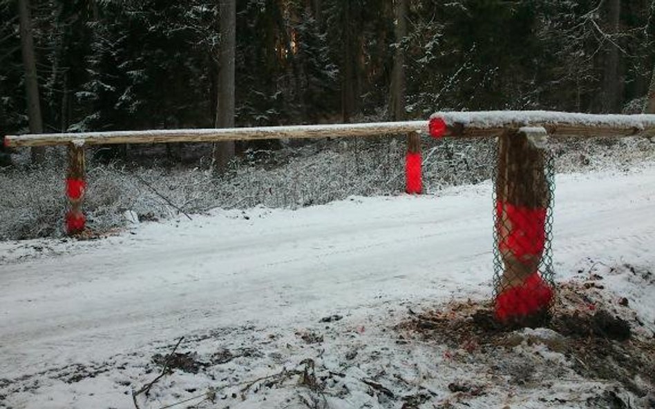 Bóbr podgryza barierki