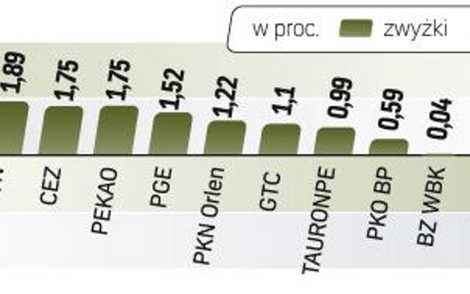 Indeks największych firm na GPW wzrósŁ wczoraj o 0,77 proc. Warszawa była w środę jednym z najsilnie