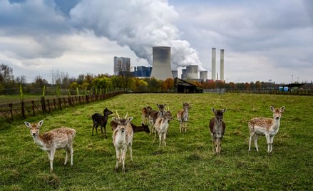 Elektrownia opalana węglem brunatnym, w niemieckim Niederaussem – od lat znajdująca się w czołówce e