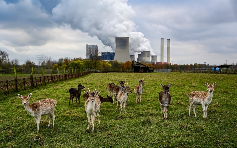 Elektrownia opalana węglem brunatnym, w niemieckim Niederaussem – od lat znajdująca się w czołówce e