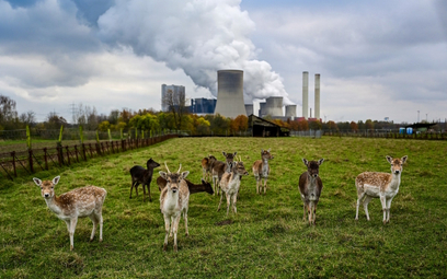 Elektrownia opalana węglem brunatnym, w niemieckim Niederaussem – od lat znajdująca się w czołówce e