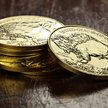 W ciągu 10 lat wartość złota wyrażona w złotych wzrosła o ponad 148 proc., a w dolarach – o ponad 80
